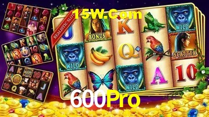 600Pro