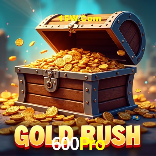 Flash Promotion 600Pro