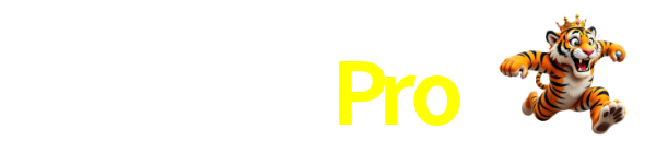 600Pro